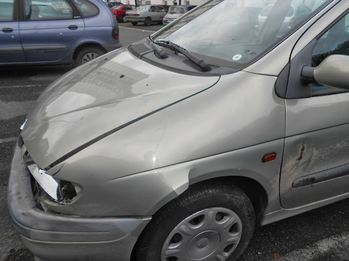 Aperçu des activités de la casse automobile AUTO RICHELIEU située à RICHELIEU (37120)